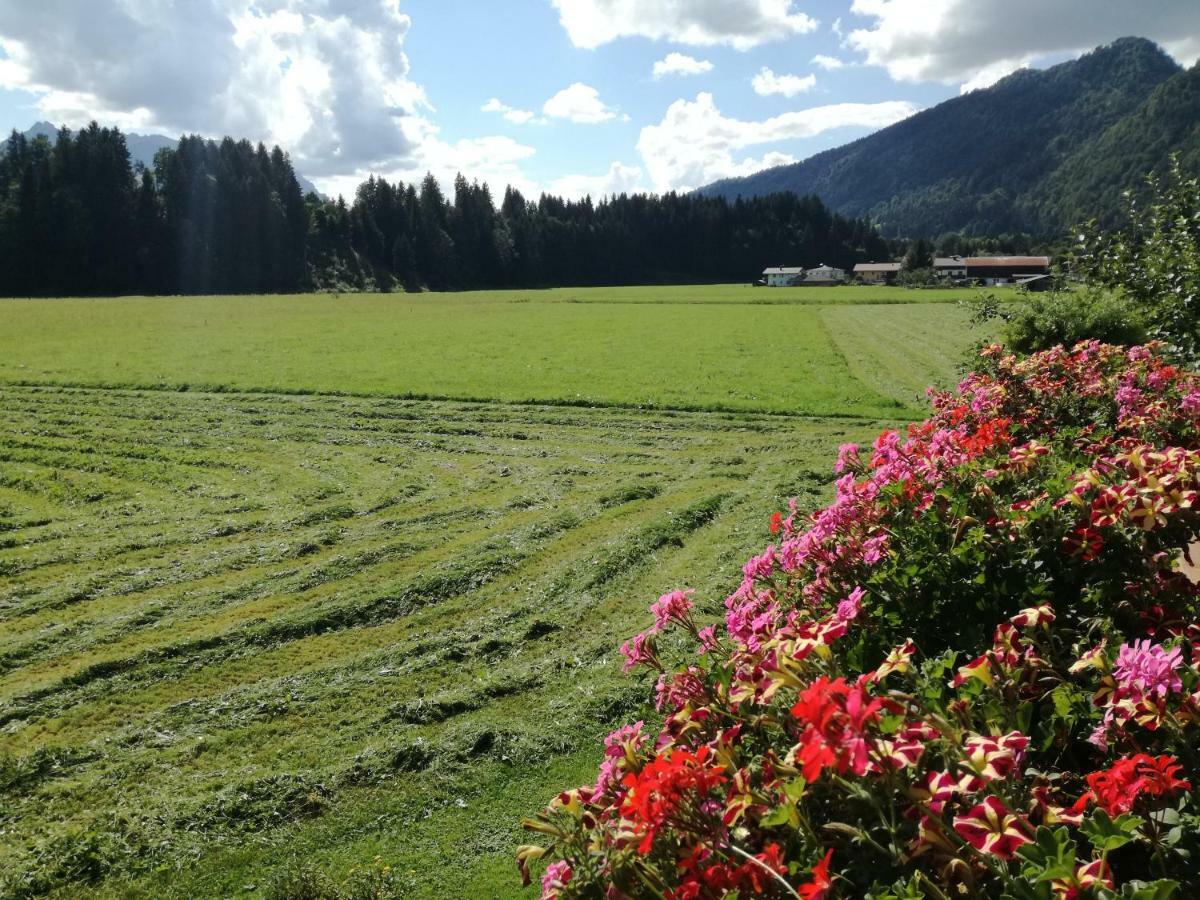 Gaestehaus Gruenbacher Kössen Exteriör bild
