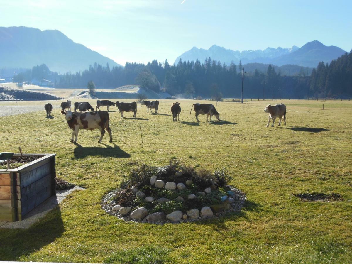Gaestehaus Gruenbacher Kössen Exteriör bild
