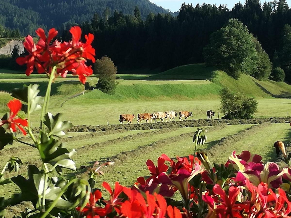 Gaestehaus Gruenbacher Kössen Exteriör bild